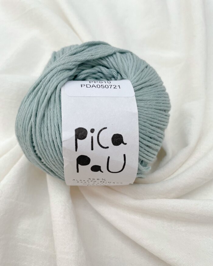 Hilado Pica Pau-100 gramos Worsted PP010 VERDE AGUA CLARO