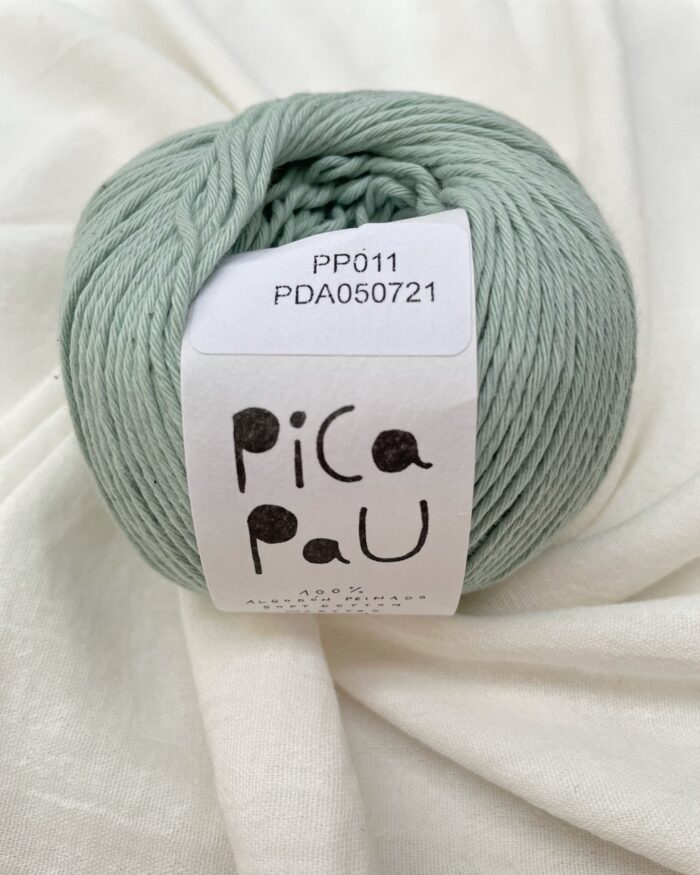 Hilado Pica Pau-100 gramos Worsted PP011 MENTA PASTEL