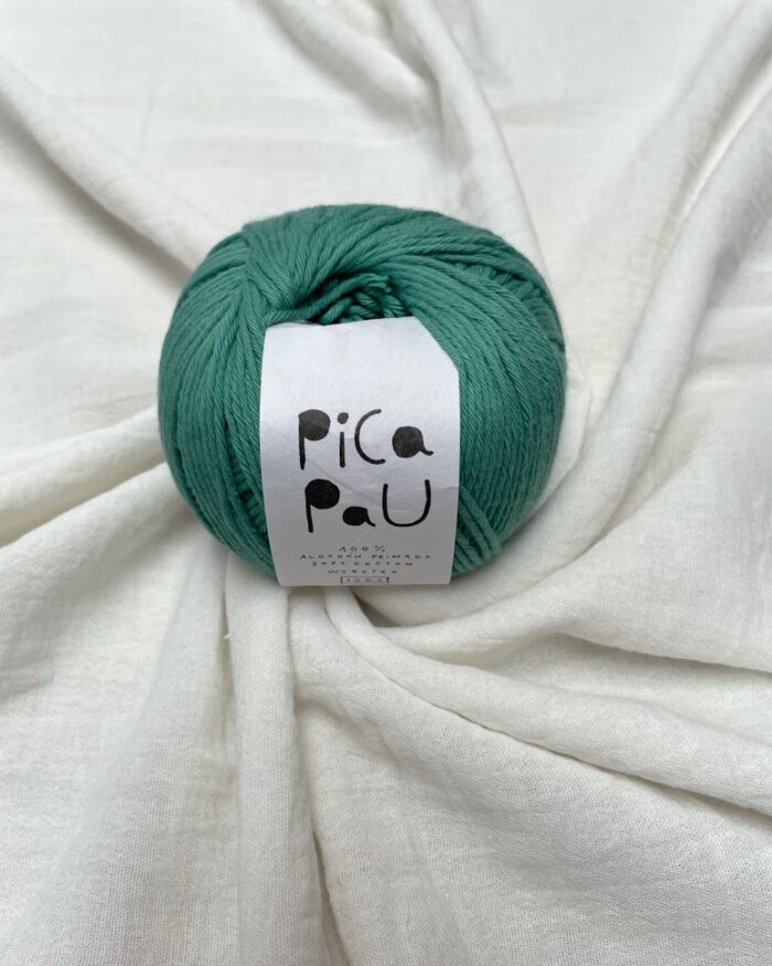 Hilado Pica Pau-100 gramos Worsted-PP015-VERDE AZULAD0