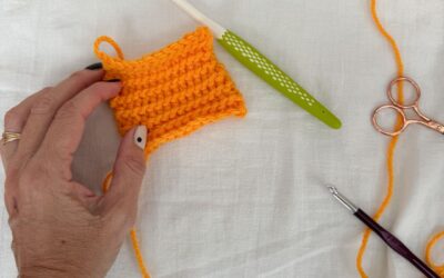 Punto Santa Clara a crochet